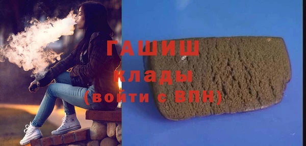 хмурый Алексин