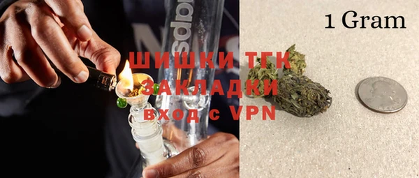 хмурый Алексин
