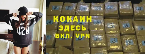 хмурый Алексин