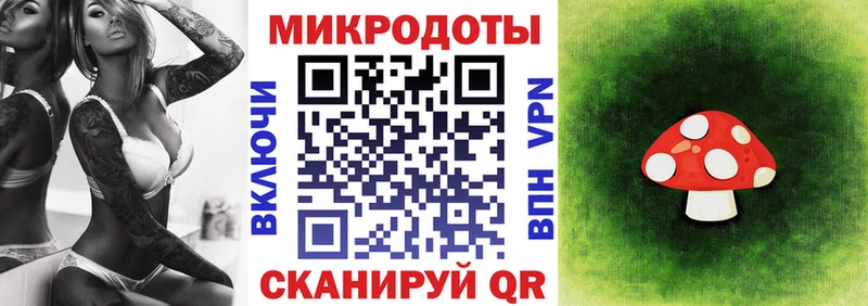 мега ТОР  купить наркоту  Елабуга  Псилоцибиновые грибы GOLDEN TEACHER 